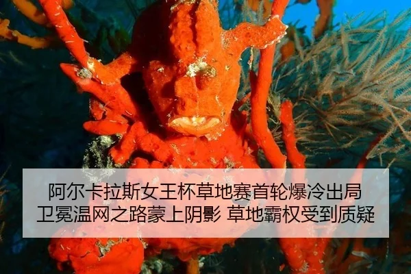 a-er-ka-la-si-nv-wang-bei-cao-di-sai-shou-lun-bao-leng-chu-ju-wei-mian-wen-wang-zhi-lu-meng-shang-yin-ying-cao-di-ba-2-842.jpg