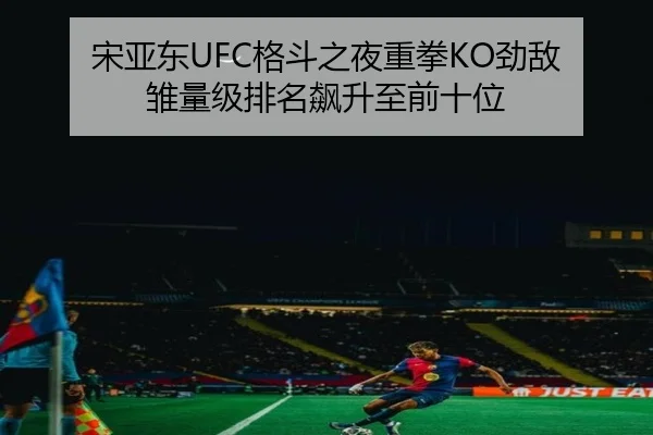 宋亚东UFC格斗之夜重拳KO劲敌 雏量级排名飙升至前十位