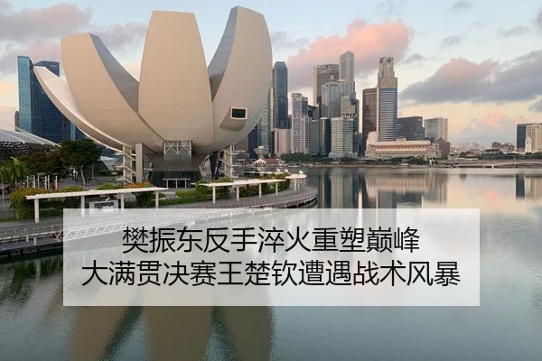 樊振东反手淬火重塑巅峰 大满贯决赛王楚钦遭遇战术风暴（yaxin）